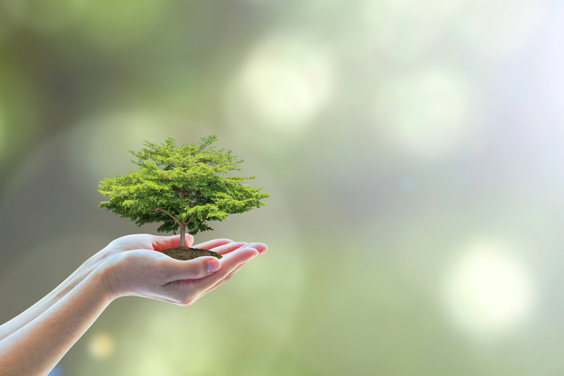Packaging and Cardboard Disposal: Ensuring a Greener Future